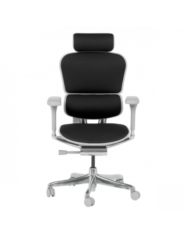 Ергономичен стол ERGOHUMAN ELITE 2 - сива рамка - черен