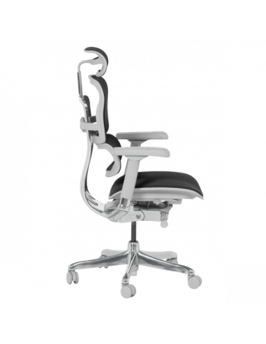 Ергономичен стол ERGOHUMAN ELITE 2 - сива рамка - черен