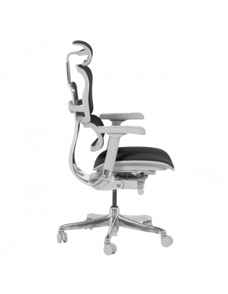 Ергономичен стол ERGOHUMAN ELITE 2 - сива рамка - черен