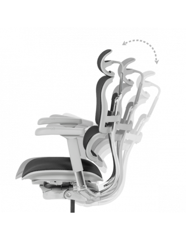 Ергономичен стол ERGOHUMAN ELITE 2 - сива рамка - черен