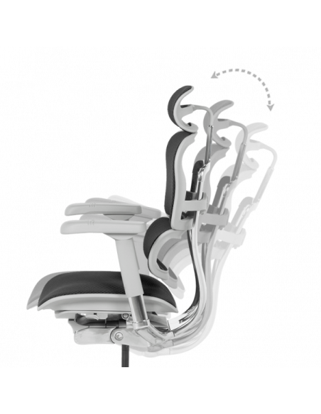 Ергономичен стол ERGOHUMAN ELITE 2 - сива рамка - черен