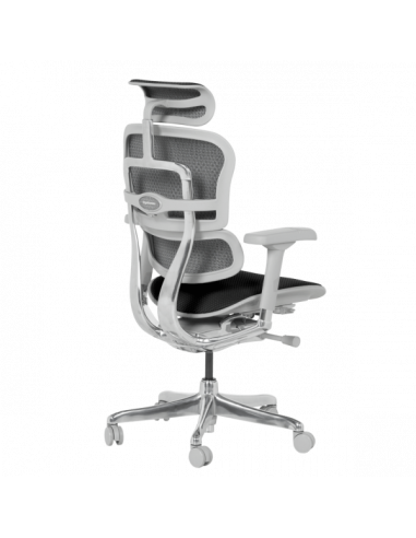 Ергономичен стол ERGOHUMAN ELITE 2 - сива рамка - черен