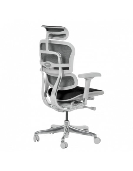 Ергономичен стол ERGOHUMAN ELITE 2 - сива рамка - черен