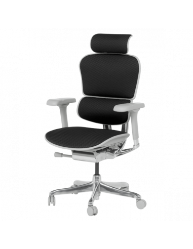 Ергономичен стол ERGOHUMAN ELITE 2 - сива рамка - черен