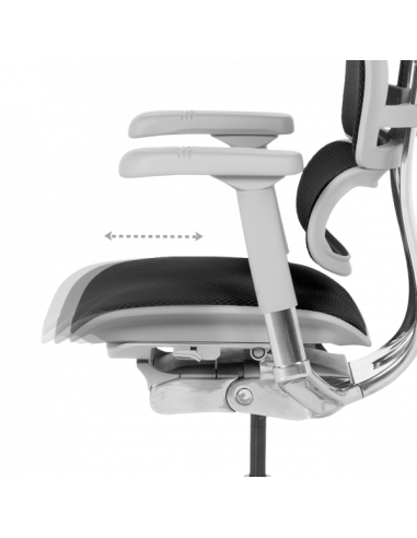 Ергономичен стол ERGOHUMAN ELITE 2 - сива рамка - черен