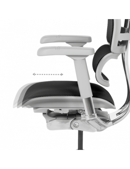 Ергономичен стол ERGOHUMAN ELITE 2 - сива рамка - черен