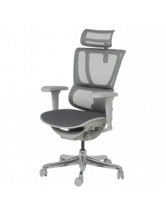 Ергономичен стол ERGOHUMAN IOO ULTRA - сива рамка - сив 2