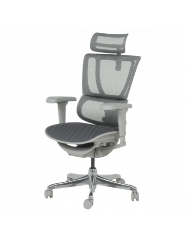 Ергономичен стол ERGOHUMAN IOO ULTRA - сива рамка - сив