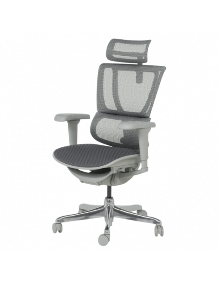 Ергономичен стол ERGOHUMAN IOO ULTRA - сива рамка - сив