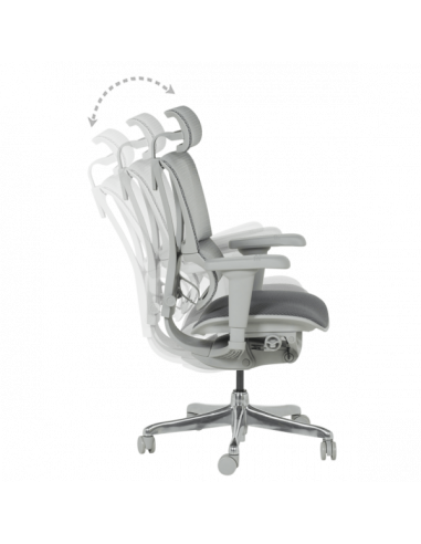 Ергономичен стол ERGOHUMAN IOO ULTRA - сива рамка - сив