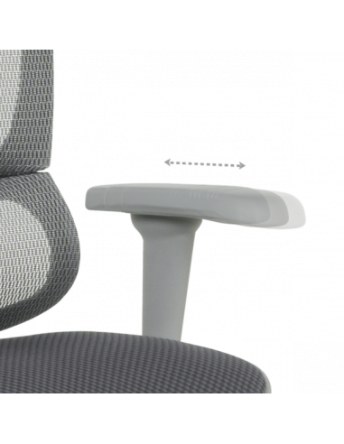 Ергономичен стол ERGOHUMAN IOO ULTRA - сива рамка - сив