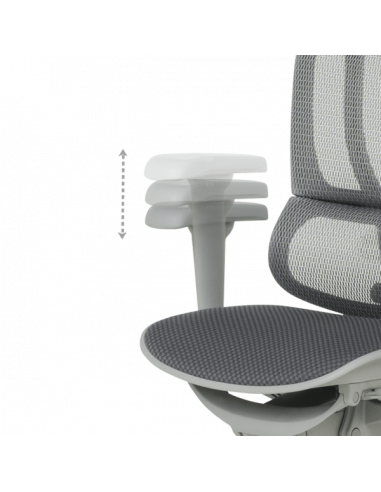 Ергономичен стол ERGOHUMAN IOO ULTRA - сива рамка - сив