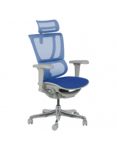 Ергономичен стол ERGOHUMAN IOO ULTRA - сива рамка - син