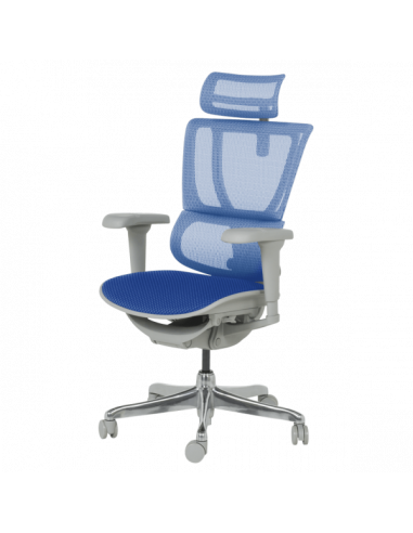 Ергономичен стол ERGOHUMAN IOO ULTRA - сива рамка - син