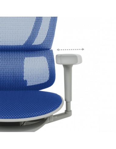 Ергономичен стол ERGOHUMAN IOO ULTRA - сива рамка - син