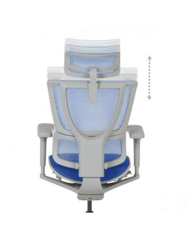 Ергономичен стол ERGOHUMAN IOO ULTRA - сива рамка - син