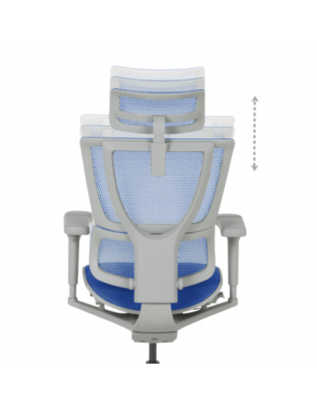 Ергономичен стол ERGOHUMAN IOO ULTRA - сива рамка - син