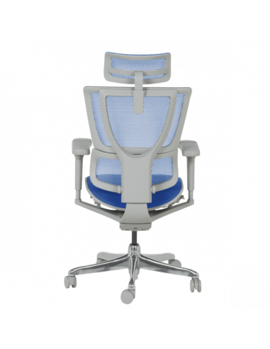 Ергономичен стол ERGOHUMAN IOO ULTRA - сива рамка - син