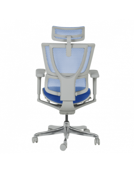 Ергономичен стол ERGOHUMAN IOO ULTRA - сива рамка - син