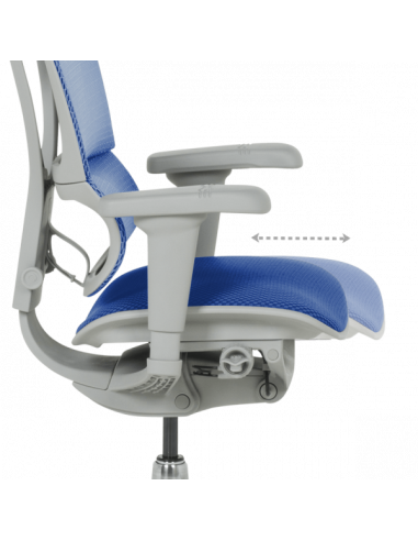 Ергономичен стол ERGOHUMAN IOO ULTRA - сива рамка - син