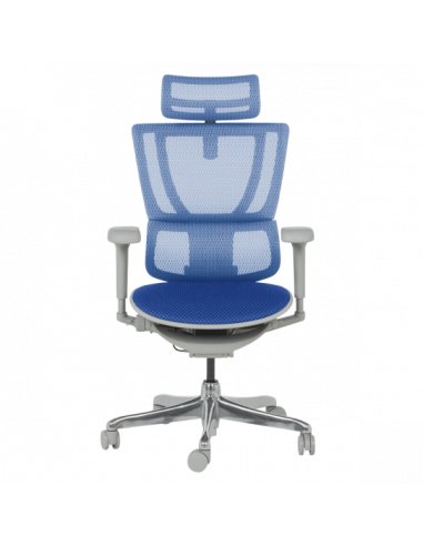 Ергономичен стол ERGOHUMAN IOO ULTRA - сива рамка - син