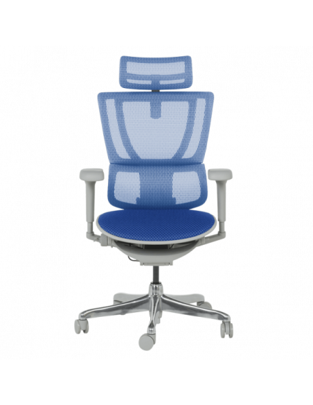 Ергономичен стол ERGOHUMAN IOO ULTRA - сива рамка - син