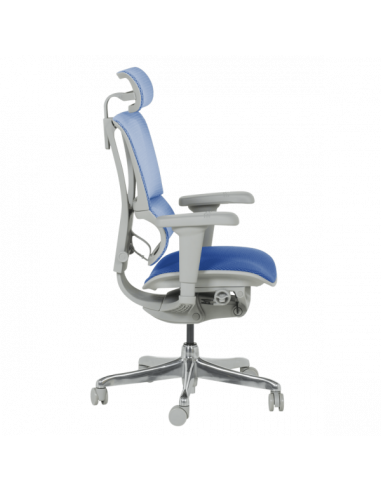 Ергономичен стол ERGOHUMAN IOO ULTRA - сива рамка - син