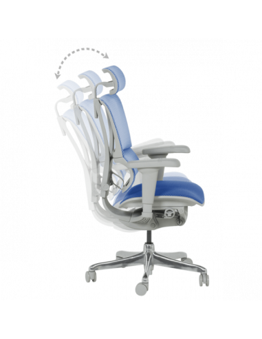 Ергономичен стол ERGOHUMAN IOO ULTRA - сива рамка - син