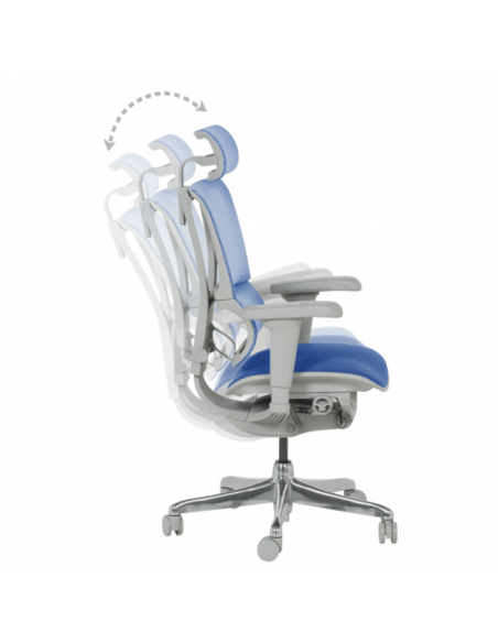 Ергономичен стол ERGOHUMAN IOO ULTRA - сива рамка - син