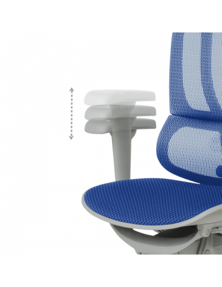 Ергономичен стол ERGOHUMAN IOO ULTRA - сива рамка - син