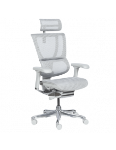 Ергономичен стол ERGOHUMAN IOO ELITE 2 - сива рамка - сив