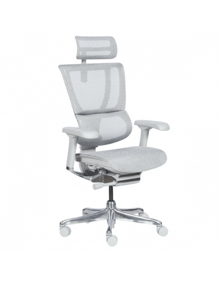 Ергономичен стол ERGOHUMAN IOO ELITE 2 - сива рамка - сив