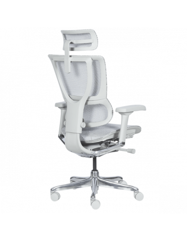 Ергономичен стол ERGOHUMAN IOO ELITE 2 - сива рамка - сив