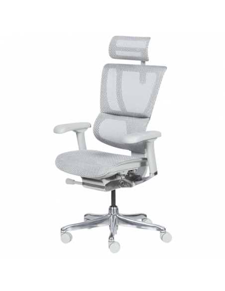 Ергономичен стол ERGOHUMAN IOO ELITE 2 - сива рамка - сив