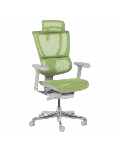 Ергономичен стол ERGOHUMAN IOO ELITE 2 - сива рамка - зелен