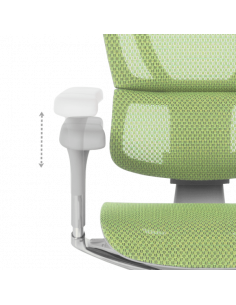 Ергономичен стол ERGOHUMAN IOO ELITE 2 - сива рамка - зелен 2