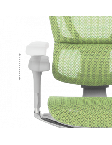 Ергономичен стол ERGOHUMAN IOO ELITE 2 - сива рамка - зелен