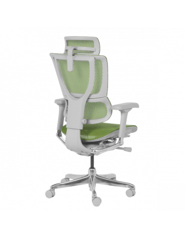 Ергономичен стол ERGOHUMAN IOO ELITE 2 - сива рамка - зелен