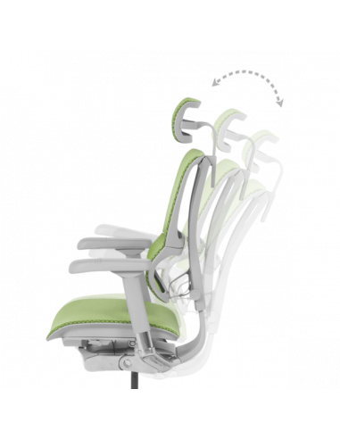 Ергономичен стол ERGOHUMAN IOO ELITE 2 - сива рамка - зелен