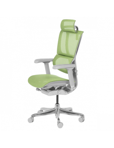 Ергономичен стол ERGOHUMAN IOO ELITE 2 - сива рамка - зелен