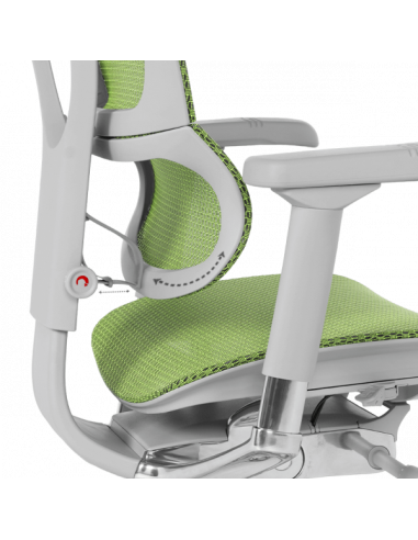 Ергономичен стол ERGOHUMAN IOO ELITE 2 - сива рамка - зелен