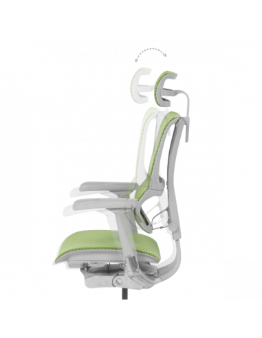 Ергономичен стол ERGOHUMAN IOO ELITE 2 - сива рамка - зелен