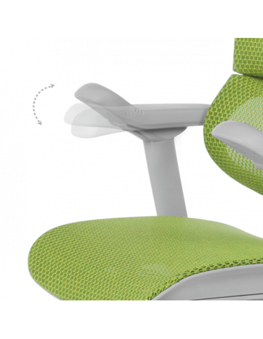 Ергономичен стол ERGOHUMAN IOO ELITE 2 - сива рамка - зелен