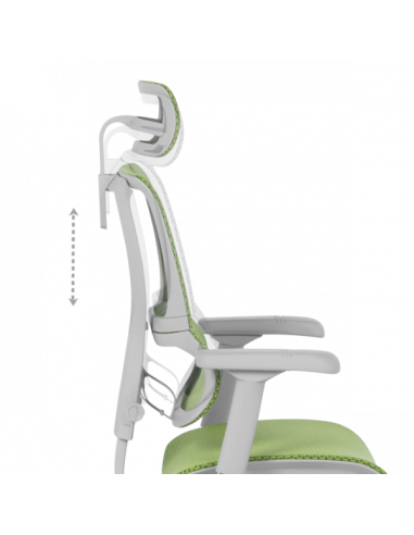 Ергономичен стол ERGOHUMAN IOO ELITE 2 - сива рамка - зелен