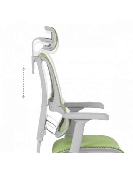 Ергономичен стол ERGOHUMAN IOO ELITE 2 - сива рамка - зелен