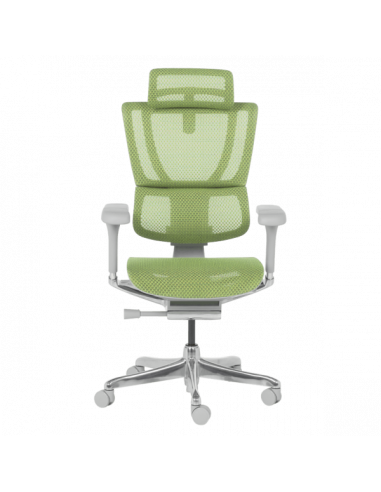 Ергономичен стол ERGOHUMAN IOO ELITE 2 - сива рамка - зелен