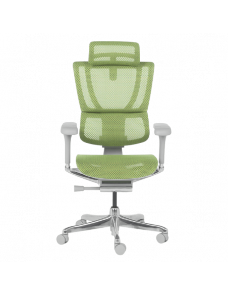 Ергономичен стол ERGOHUMAN IOO ELITE 2 - сива рамка - зелен