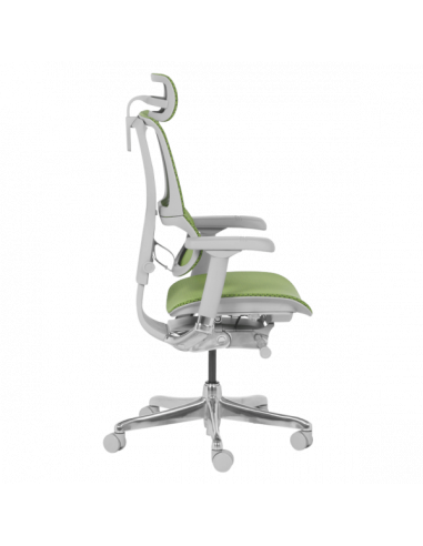 Ергономичен стол ERGOHUMAN IOO ELITE 2 - сива рамка - зелен