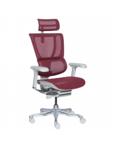 Ергономичен стол ERGOHUMAN IOO ELITE 2 - сива рамка - червен