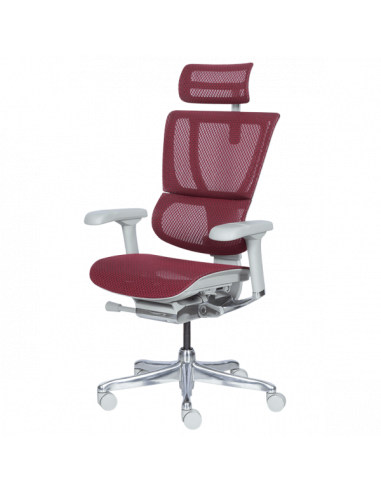 Ергономичен стол ERGOHUMAN IOO ELITE 2 - сива рамка - червен